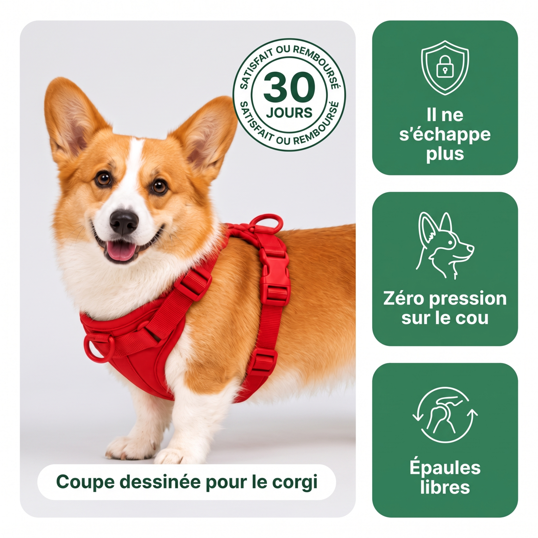 Harnais pour Corgi