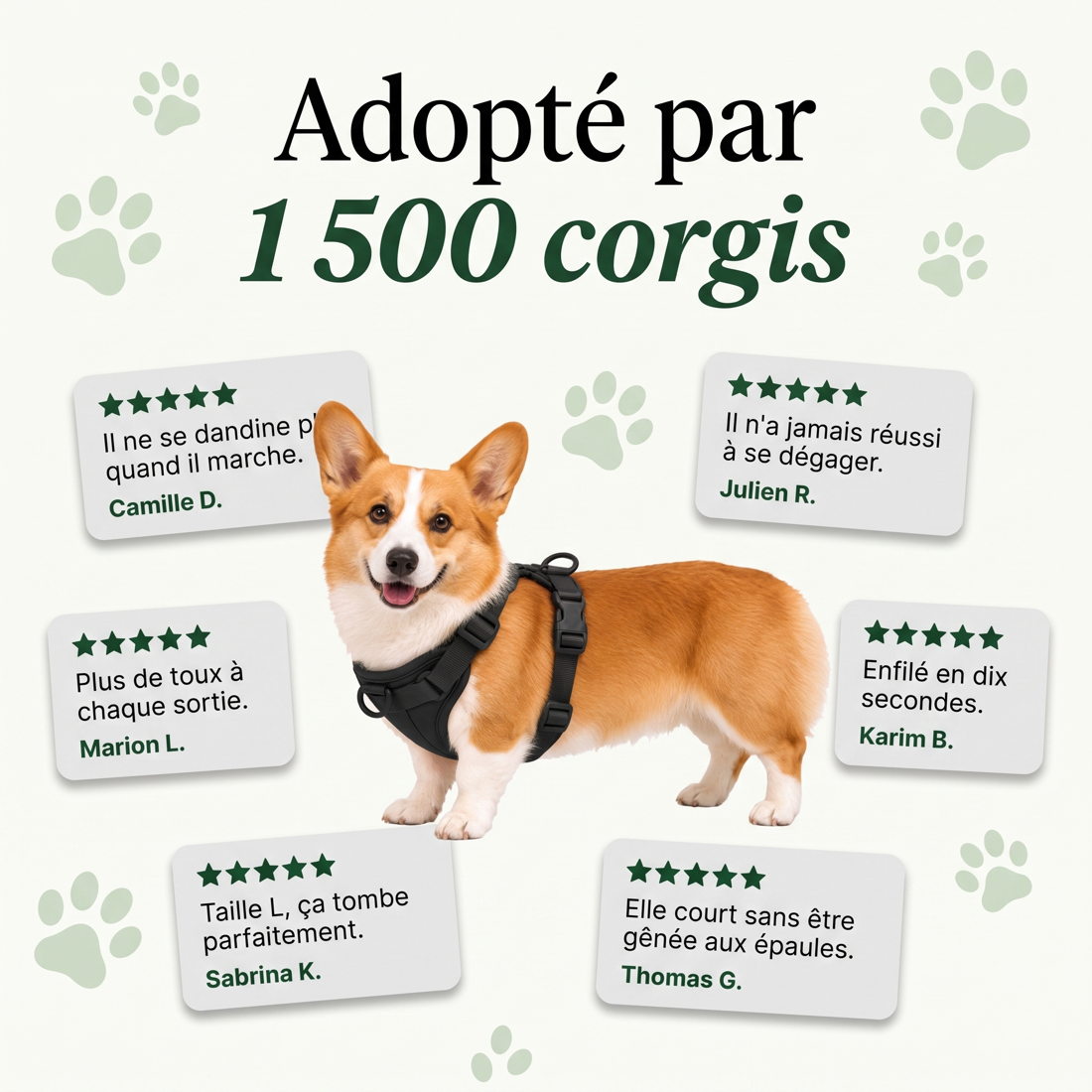 Harnais pour Corgi