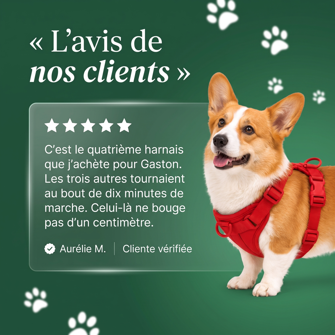 Harnais pour Corgi